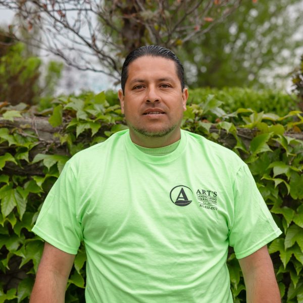 Mauricio